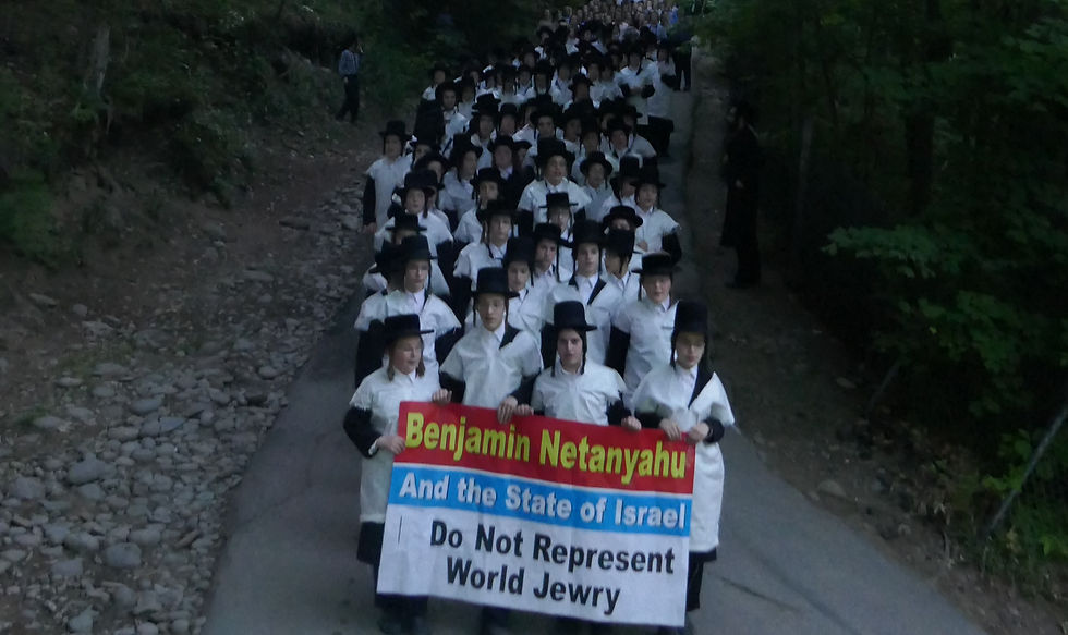 Napanoch Satmar Summer Camp, Protesting Israel