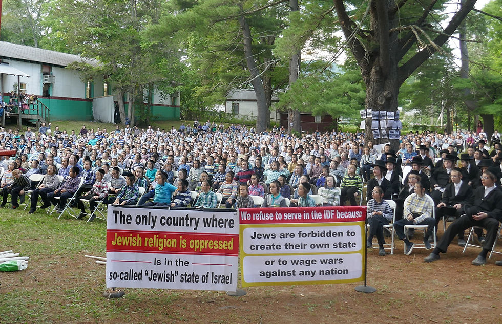 Napanoch Satmar Summer Camp, Protesting Israel