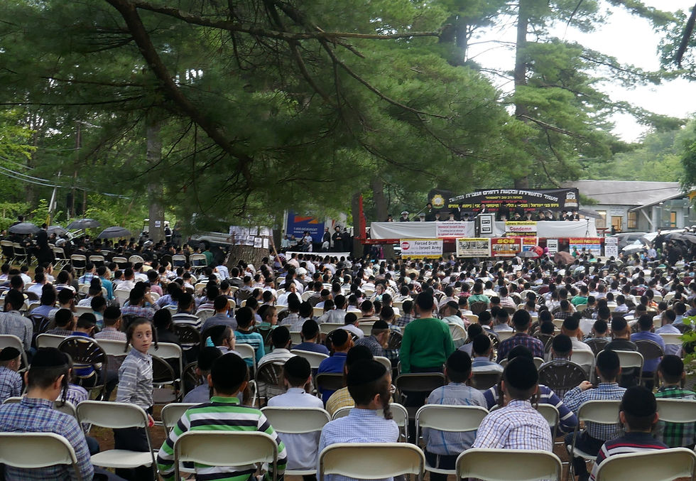 Napanoch Satmar Summer Camp, Protesting Israel