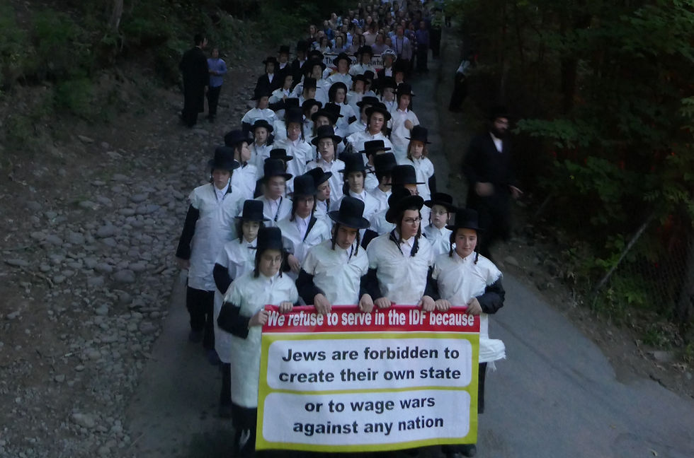 Napanoch Satmar Summer Camp, Protesting Israel