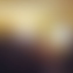 NEWS de l'ATELIER DES DIALOGUES