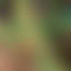 Vendredi 7 juin 2019 de 18h30 à 20h30  Conférence-dialogues