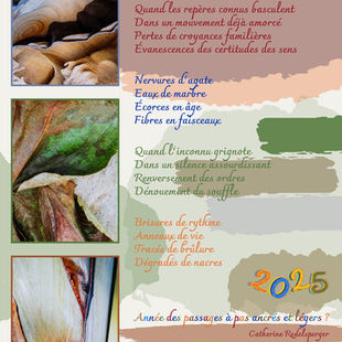 Catherine Redelsperger, mes vœux pour 2025