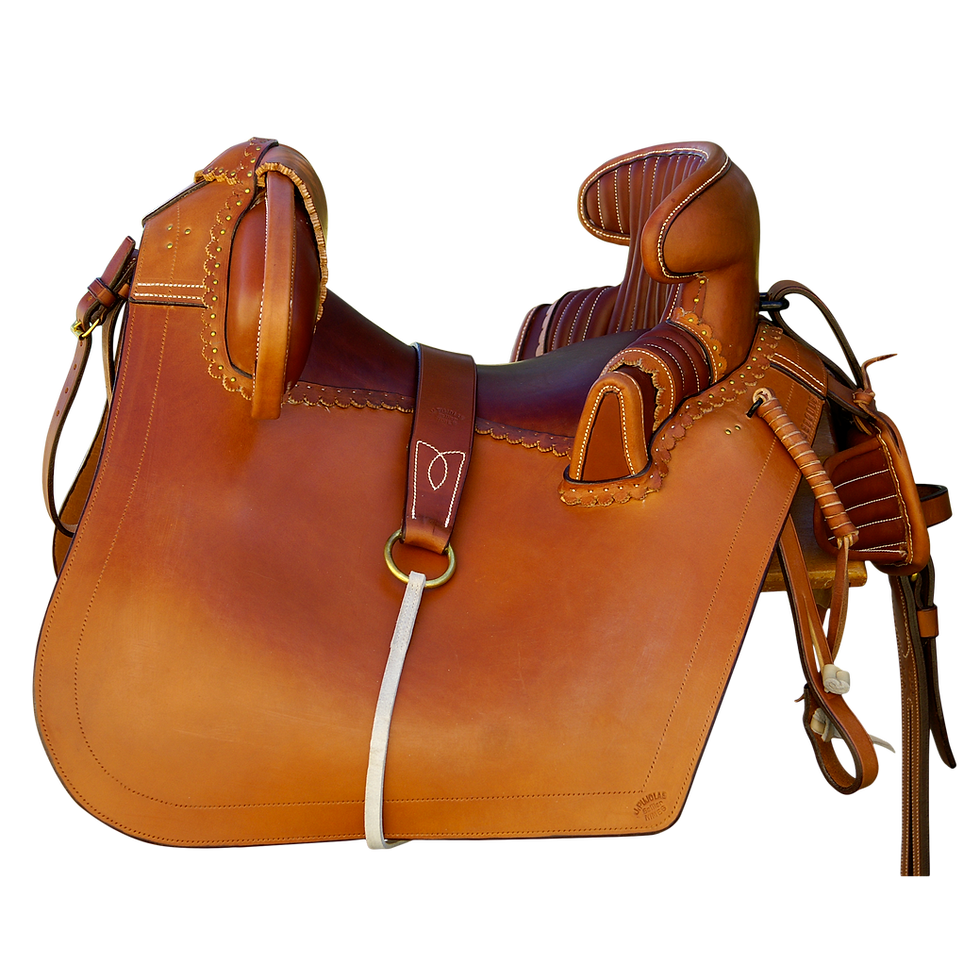 CAMARGUE TRADITIONELLE