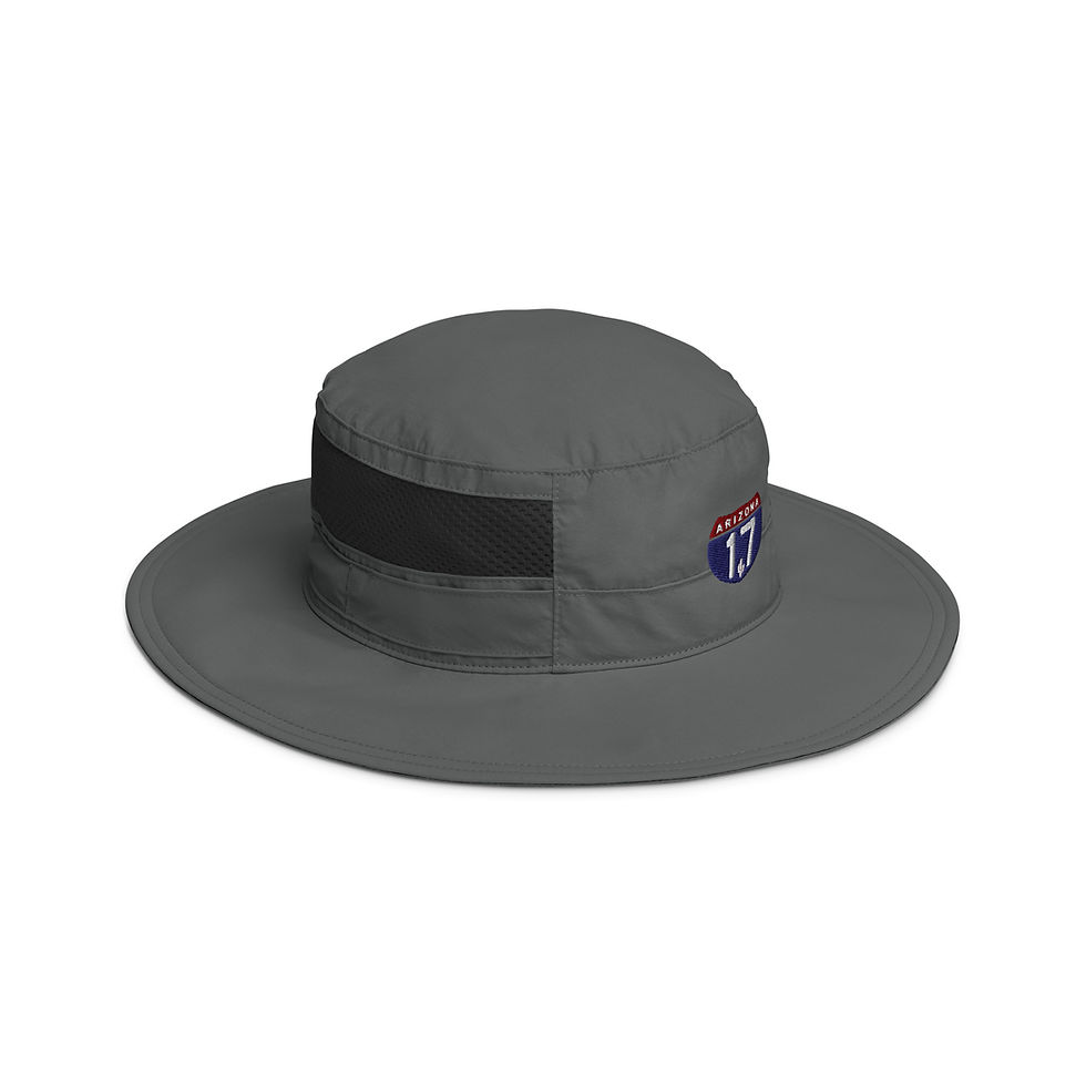 Thumbnail: Arizona17 Roadsign Logo Columbia Booney Hat