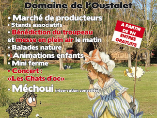 fête de la transhumance à l'Oustalet, st Pierre la mer samedi 16 mai 15