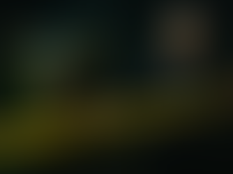 Wagmi PRO | 🚨 Niente alt-season in questo ciclo?