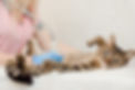 AdobeStock_287332468 (1).jpeg