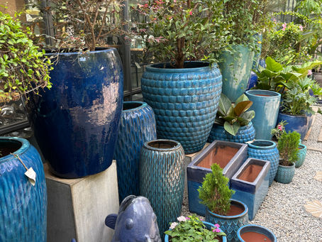 How to Choose the Right Planters and Pots for Your Home Garden