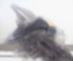 Near Freezing Point