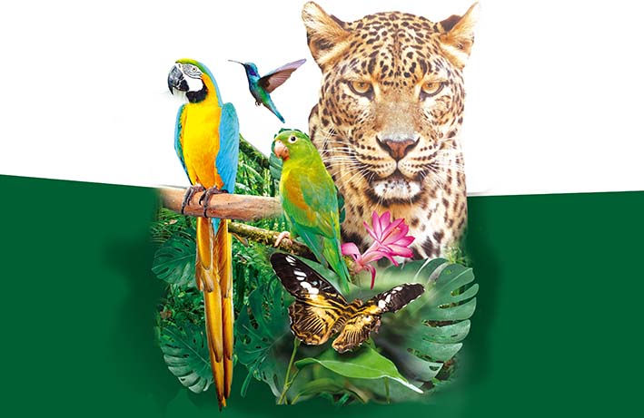 Dia de la biodiversidad 