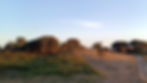 (2021) (MONTE ALENTEJANO) (GRANDOLA)