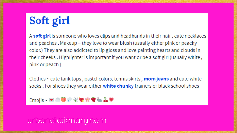 TikTok Soft Girl Aesthetic Maya Glitters