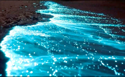 截屏2022-03-18 17.15.20