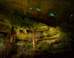 截屏2022-03-18 17.16.01