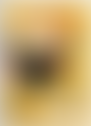 Worldskills - Lance-toi et représente ta région