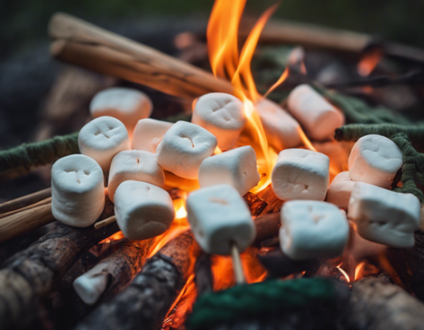 Top Camper Rental Tips for First-Time Campers