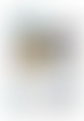 Notizia sul SECOLO XIX del 21.02.24 sulla Stella Maris di Genova