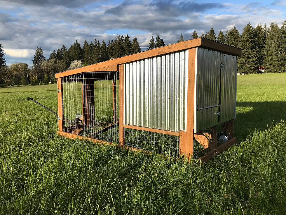 portable chicken tractors