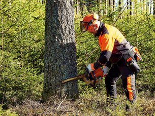 Eco-Friendly Tree Removal: Recycling and Repurposing Tree Waste in Cleveland, OH