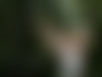 Why Tree Pruning is Essential for Healthy Tree Growth