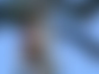 Tree Trimming for Safety: Protecting Your Home from Falling Limbs