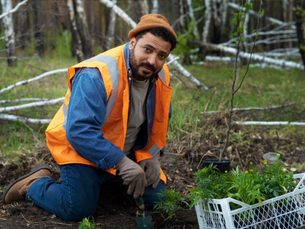 How Professional Arborists Diagnose Tree Health Issues Early