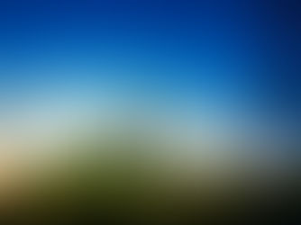 The Dangers of Overgrown Trees Near Power Lines: What You Need to Know