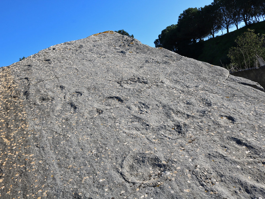 Pena 002.jpg