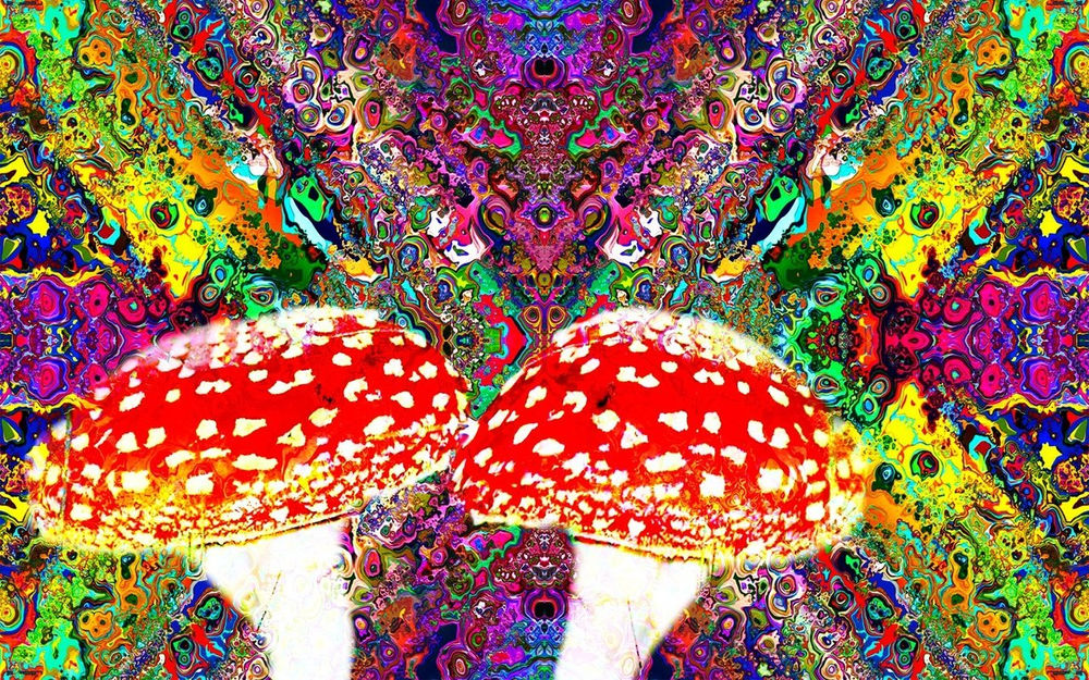 Visual changes with the use of Amanita Muscaria