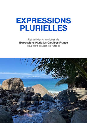 EXPRESSIONS PLURIELLES copy.jpg