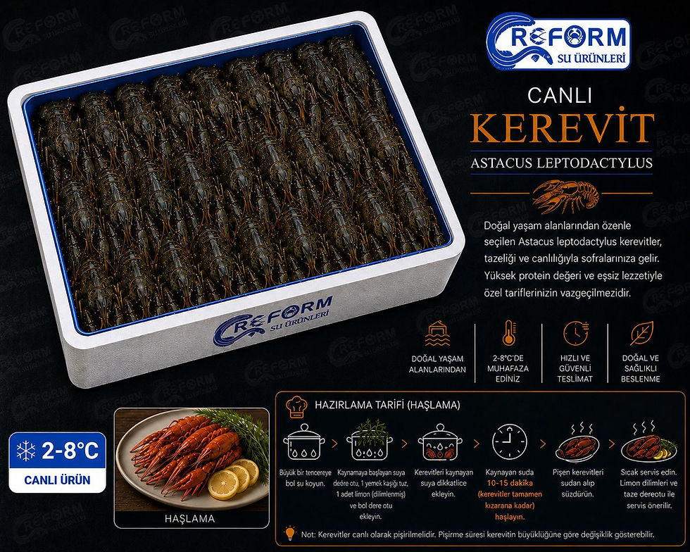 canlı jumbo kerevit