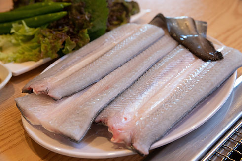 South Korea food. a freshwater eel.jpg