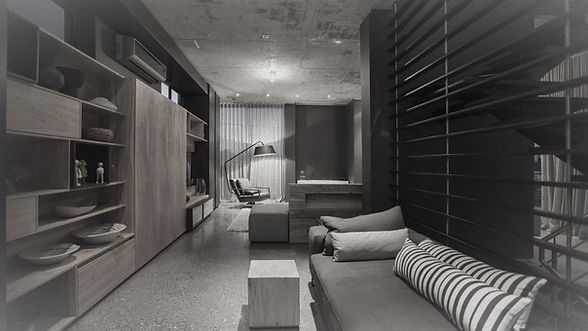 Modern Living Room_edited.jpg