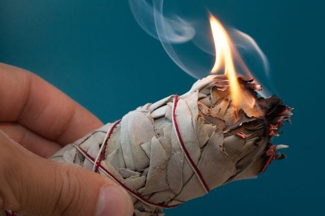 Un ramillete de Salvia Blanca