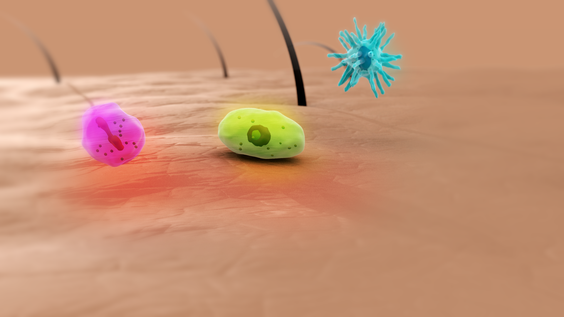 Immunity_Skin
