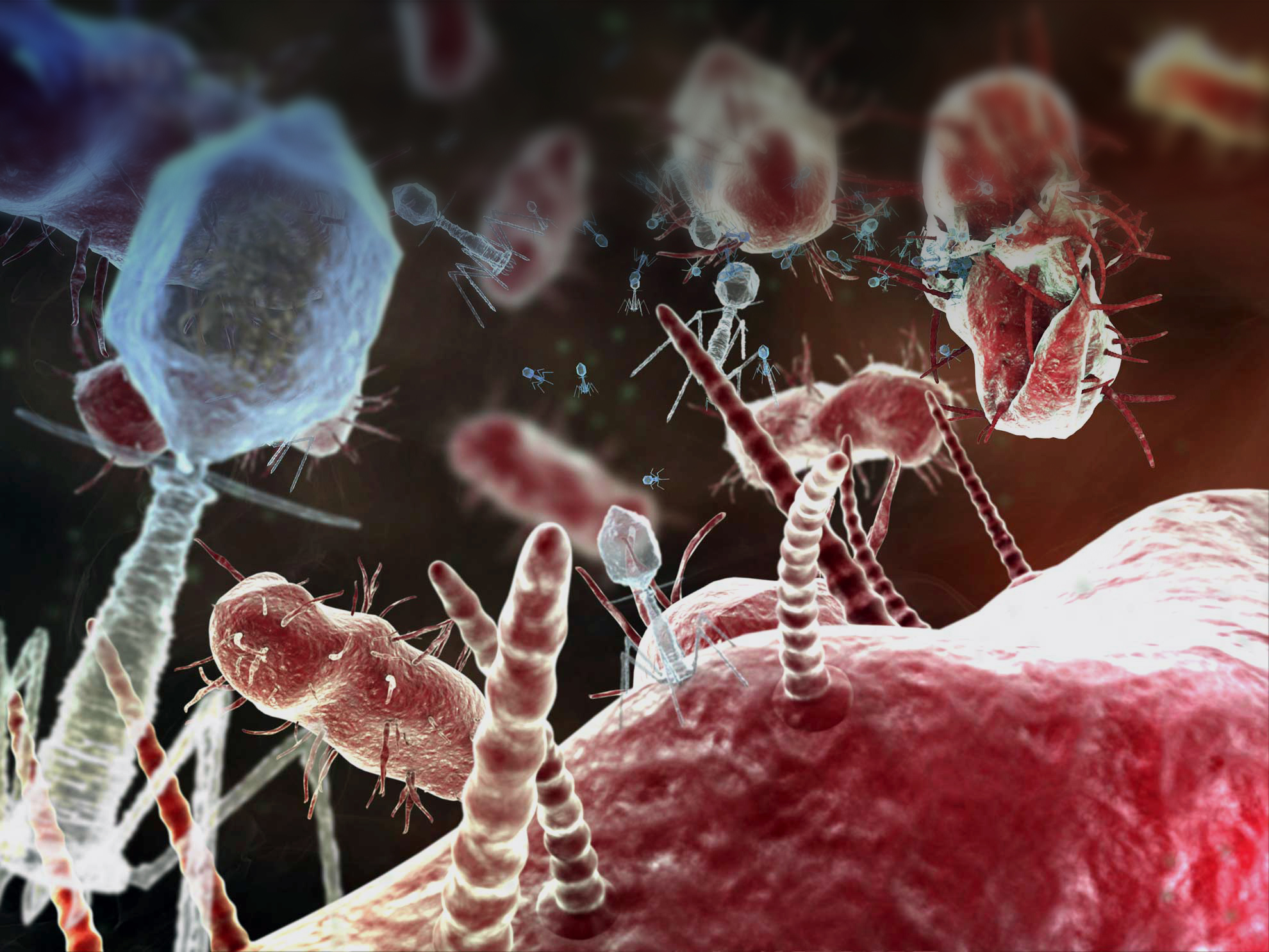Bacteriophage
