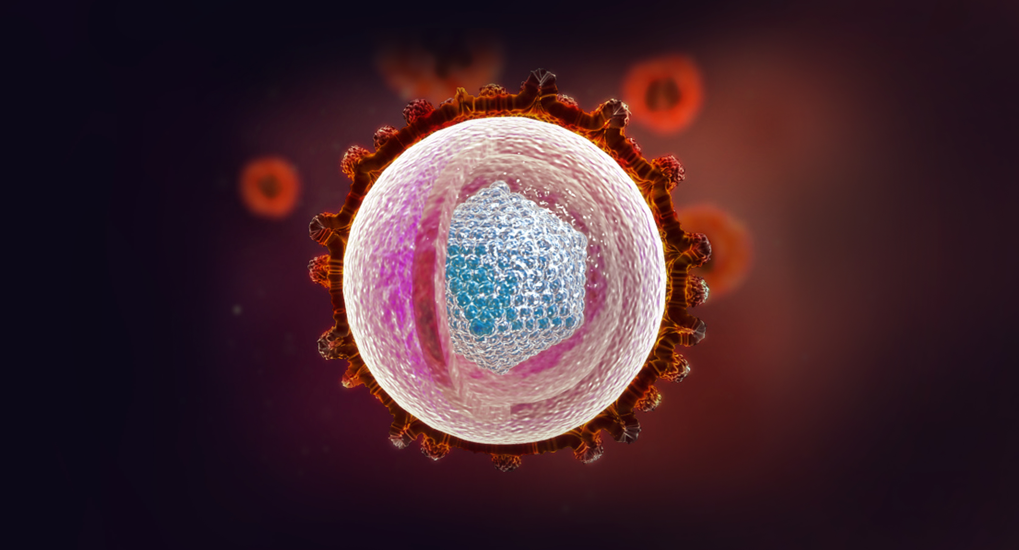Virus