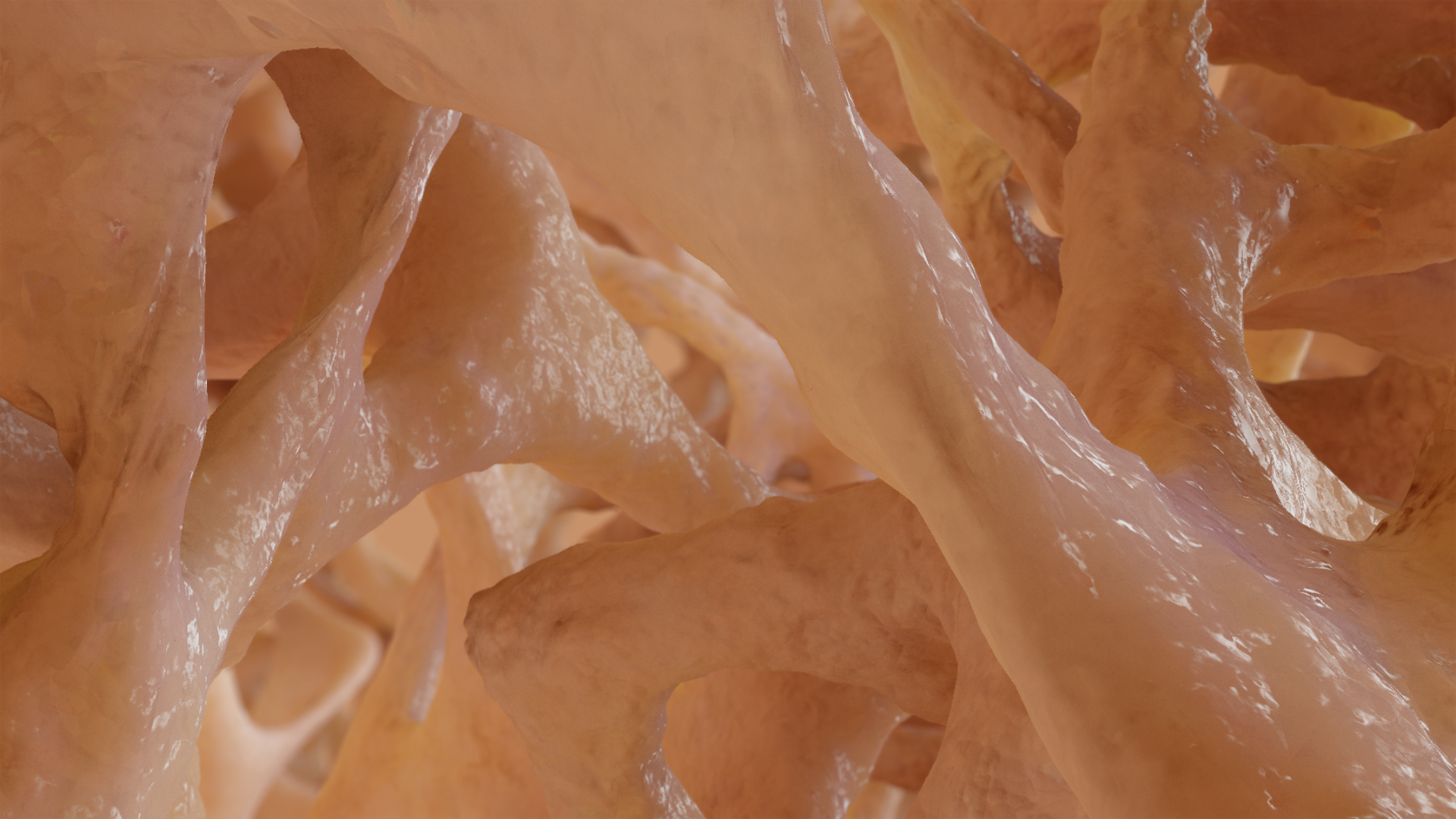 Bonematrix