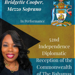 Diplomatic Reception