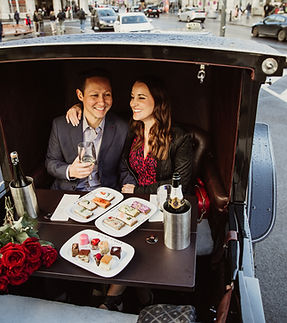 ViennaproposalIMG_2221 4.JPG