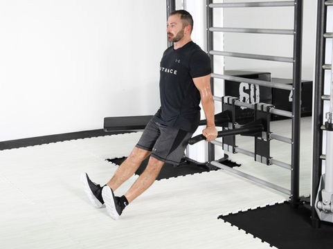 smart dips bar assisted dips.jpg