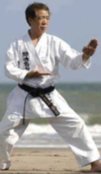 Hirokazu Kanazawa Soke skifb skif belgium karaté belgique cours de karaté