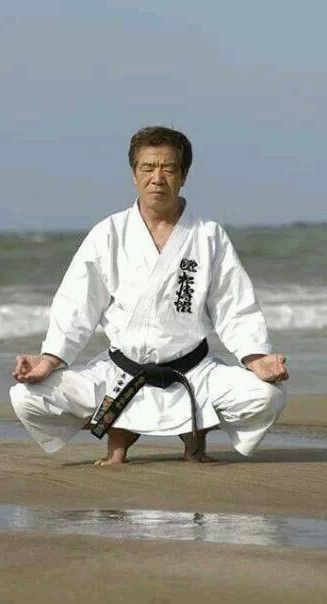 Hirokazu Kanazawa Soke skifb skif belgium karaté belgique cours de karaté