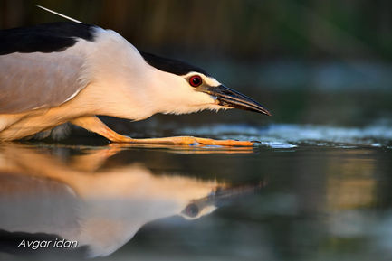 WhatsApp Image 2024-09-07 at 13.32.12.jpeg