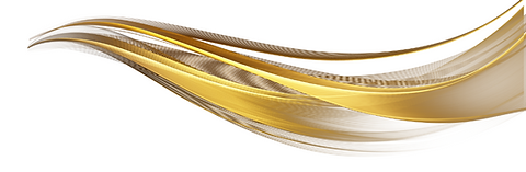 Copy of Untitled (1).png