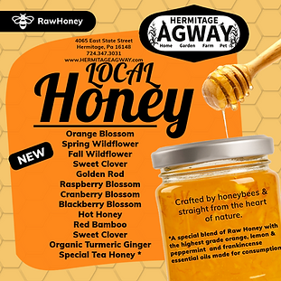 Honey 2025 Color (1).png