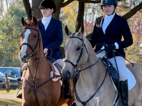The Turnout of Horse and Rider