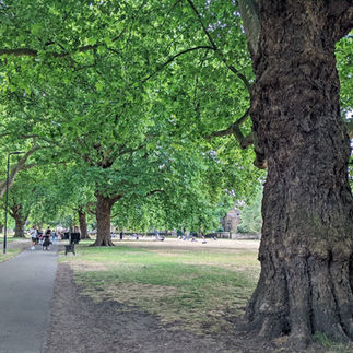 London Fields