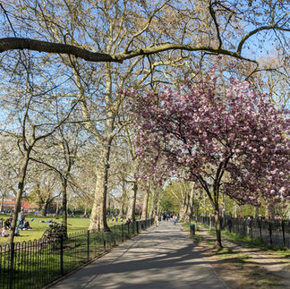 Highbury Fields Spring picture